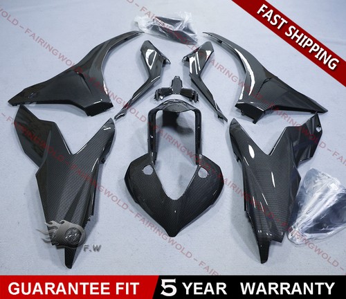 Carbon fiber paint - paint, for