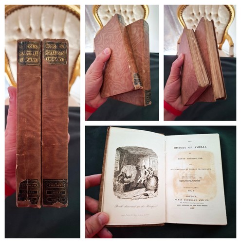1832 history amelia henry - of,