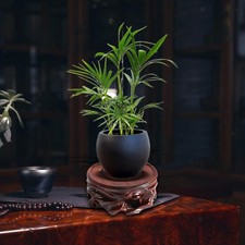 Wooden Base Figurine Sculpture