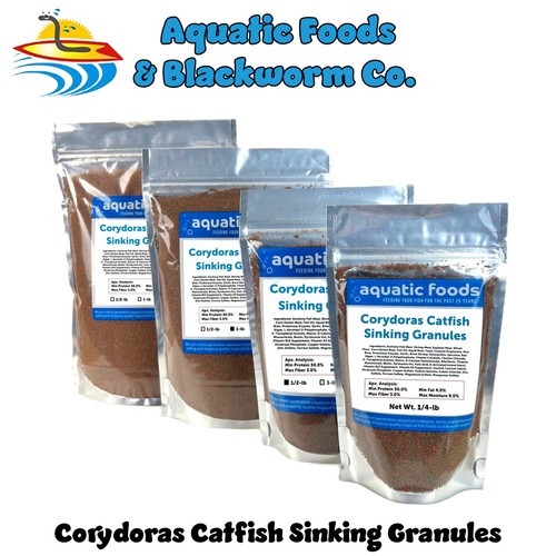 Corydoras catfish loach - &,