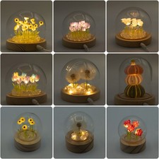 Floral Glow Garden Dome - Desk