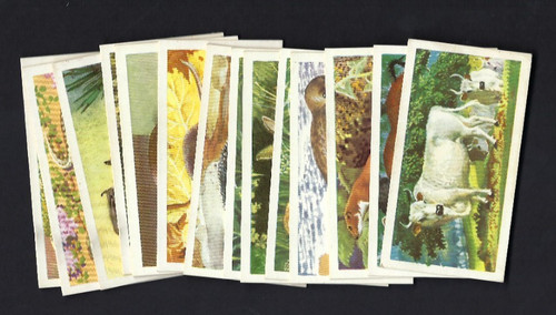 Brooke bond british wild - brooke,