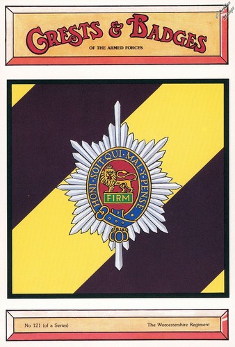 The worcestershire regiment - the,
