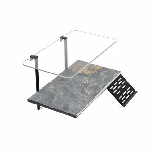 Wall mounted turtle - wall,