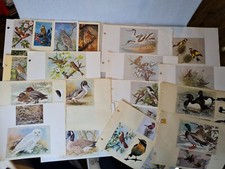 19 x Vintage Basil Ede Bird