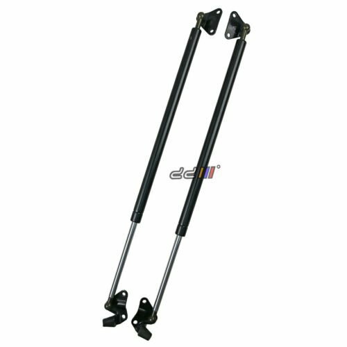 Rear tailgate lift support - rear,