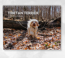 Tibetan Terrier Calendar 2026