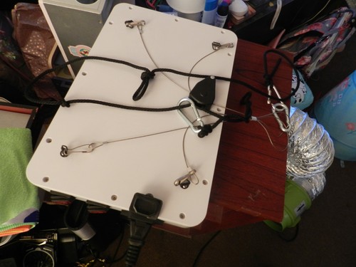Bw1000 led grow - light, full