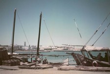 Port Of Doha In Qatar Dhows