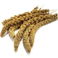 Millet sprays 100g 250g - millet,