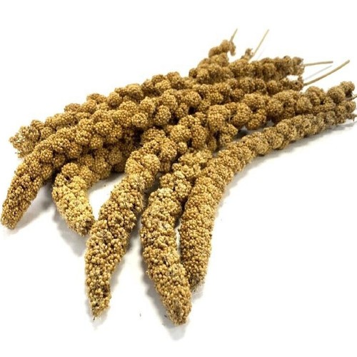 Millet sprays 100g 250g - sprays,