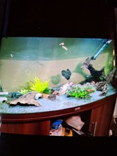 fish tank 4ft 260 litres