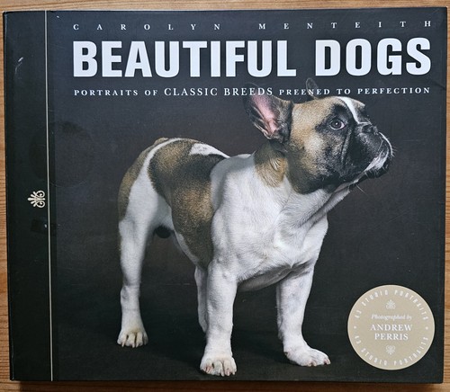 Beautiful dogs carolyn - dogs, by