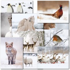 Doodlecards Pack of 10