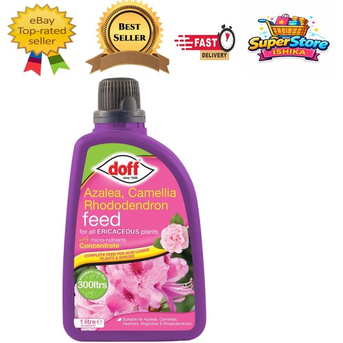 Doff azalea camellia - azalea,, &