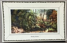 Rockley Woods Worsborough Barnsley  JLB Regent Series Early Postcard 