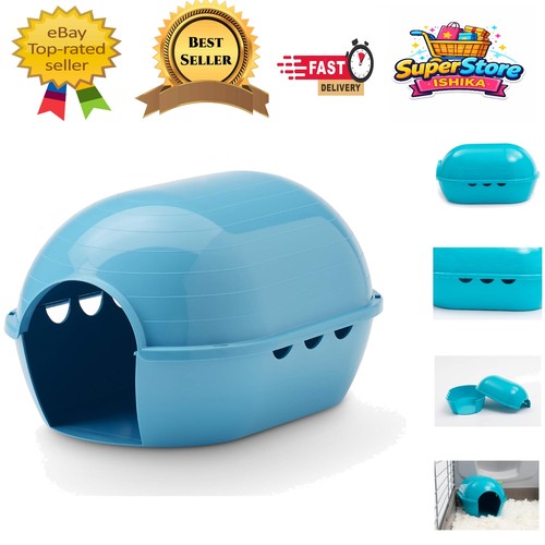 Stylish blue guinea pig - stylish,