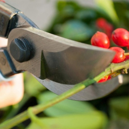 Pruning shears garden - 8",