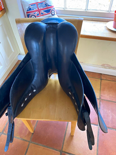 Albion black leather dressage - albion,