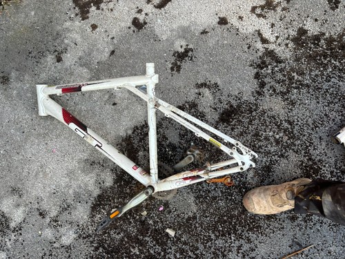 Avalanche mens mtb - 1.0,