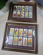 2 x Vintage Wills Garden