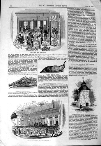 Old antique print - old, sale
