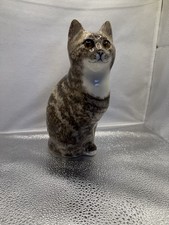 Winstanley Tabby Cat Sitting