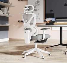Ergonomic Office Chair