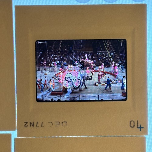 Vintage photo slides - vintage,