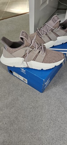 Adidas originals prophere - adidas, size