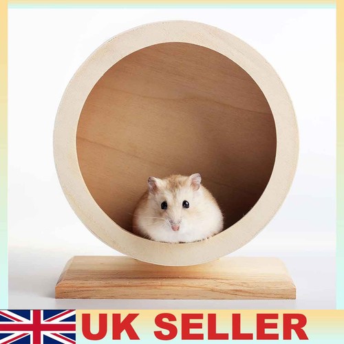 Small pet exercise - pet, accessory