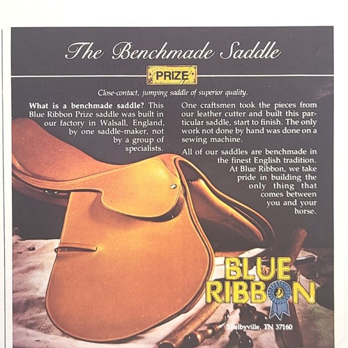 Blue ribbon prize saddle - blue,