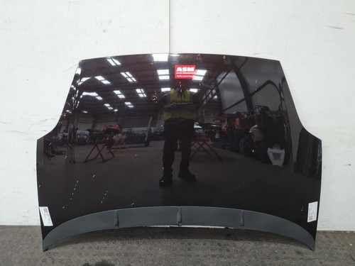 Fiat punto evo bonnet - bonnet, 2011