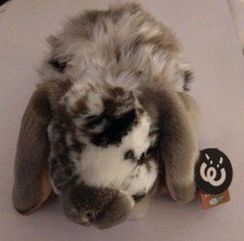Living Nature Grey Dutch Lop