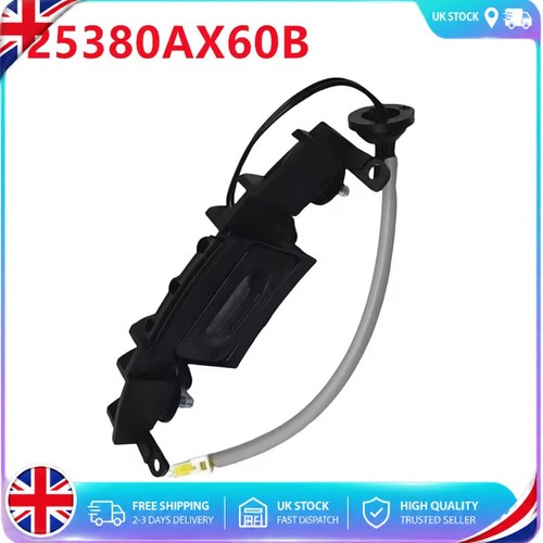 Boot lid tailgate trunk - lid,