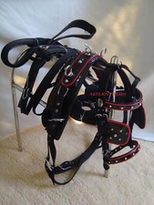 Nylon Driving Harness Patent
