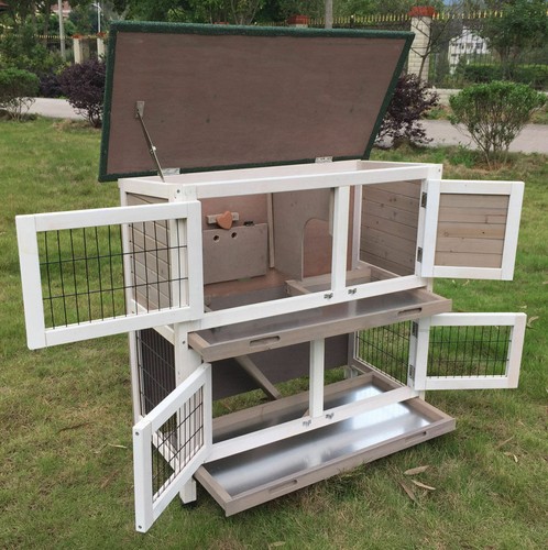 Grey rabbit hutch guinea pig - rabbit,