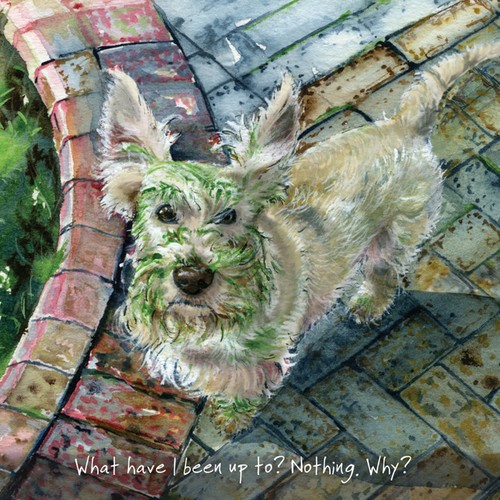 Wheaten scottie dog - wheaten,