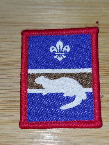 Scouting 2000 scout - uk,