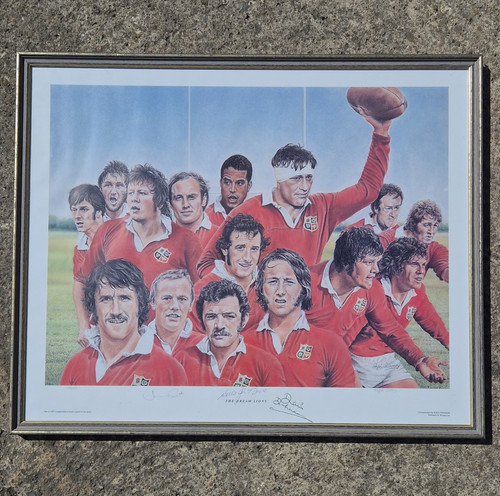 British irish lions the - british,