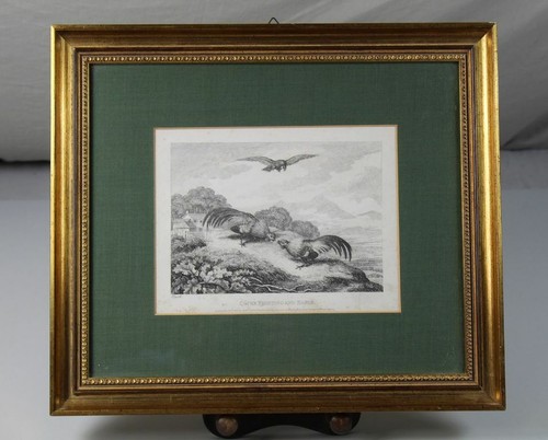Copperplate samuel howitt - copperplate,