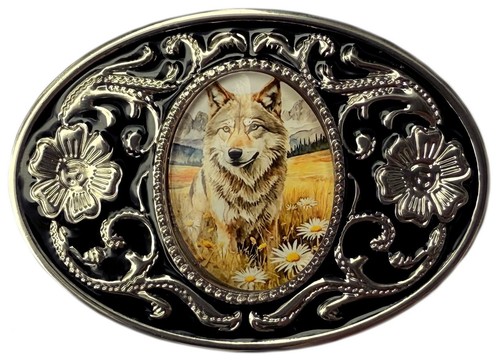 Wolf dog animal - animal, in