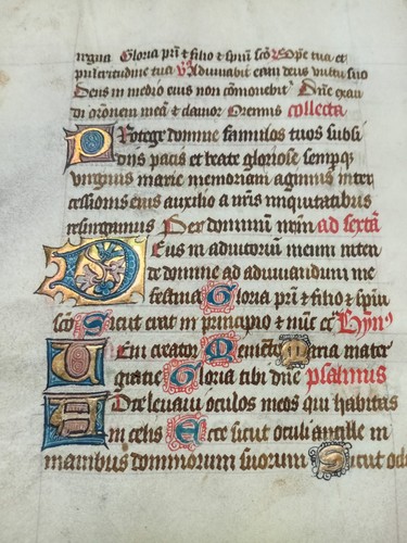 Book hours vellum - of,