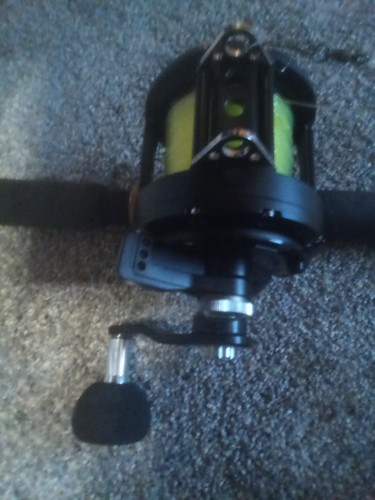Daiwa big game reel - daiwa, saltist