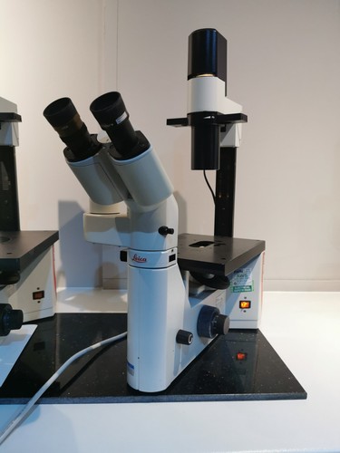 Leica microscope - dm,