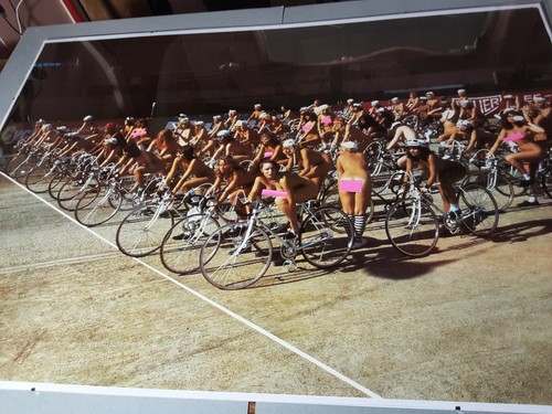 Official queen bicycle - queen, race