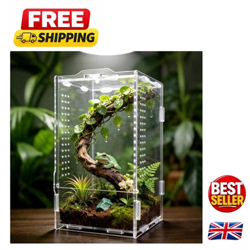 Transparent acrylic insect - acrylic,