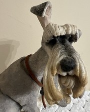 A Breed Apart Schnauzer