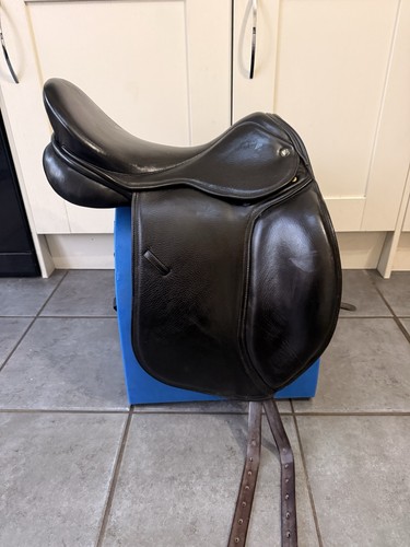 Pony cob horse - 17’,