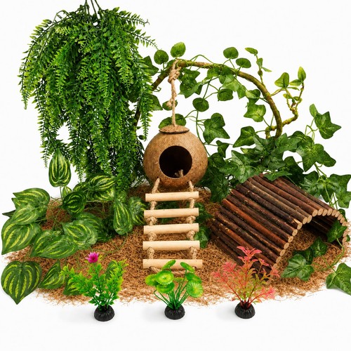 Runania crested gecko tank - crested,